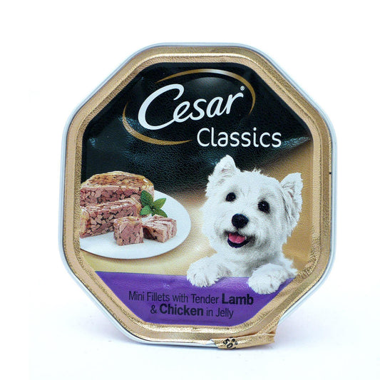 Cesar Lamb & Chicken Dog Wet Food 150g (Box of 14)