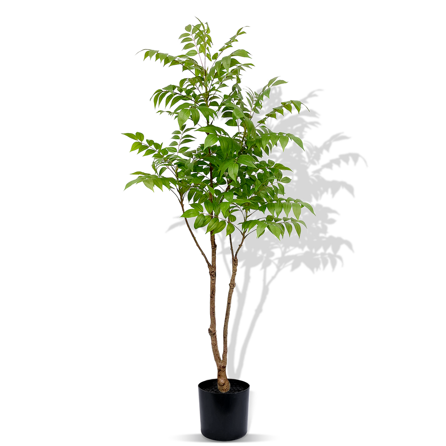 Decorative Artificial Flora - Small Artificial Plants in Pots