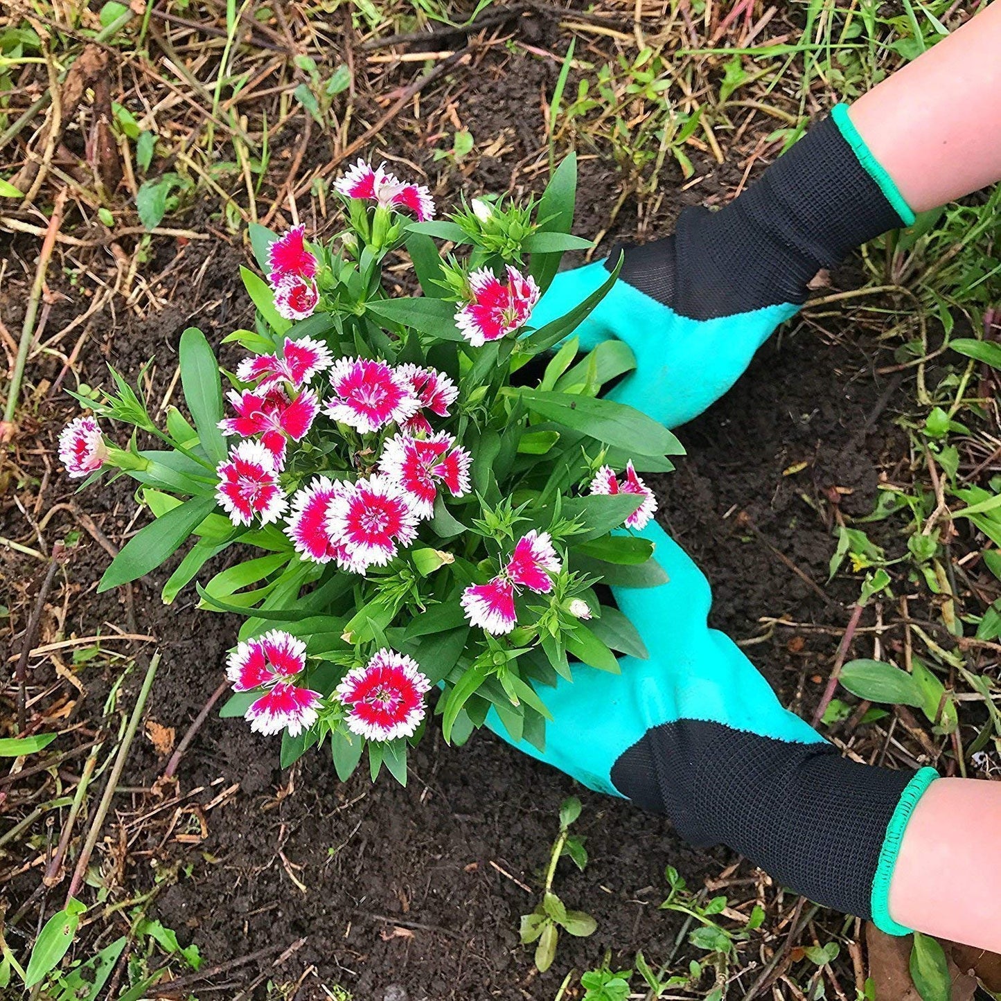 Gardening Gloves