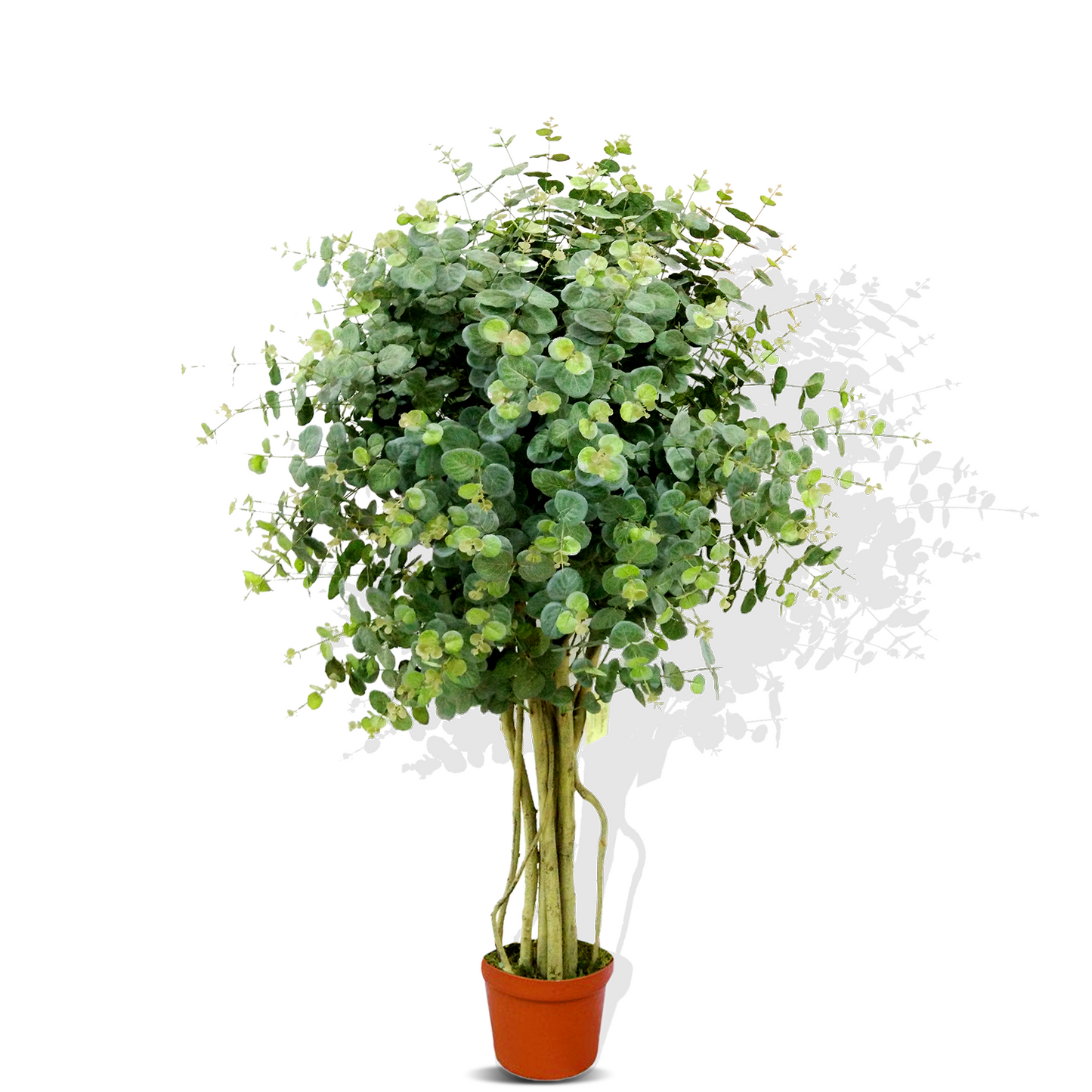Decorative Artificial Flora - Small Artificial Plants in Pots